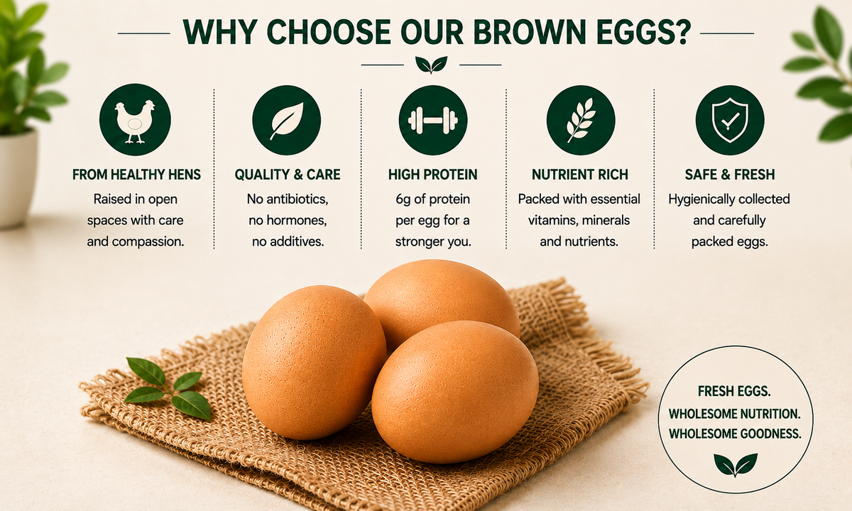 Infographic highlighting the benefits of Organic Mandya Brown Eggs, including healthy hens, high protein, nutrient-rich eggs, and hygienic handling.