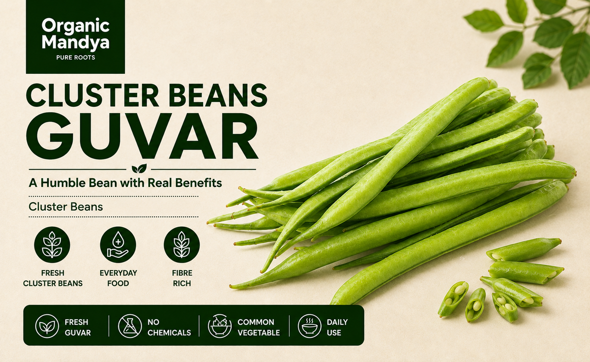 Fresh cluster beans