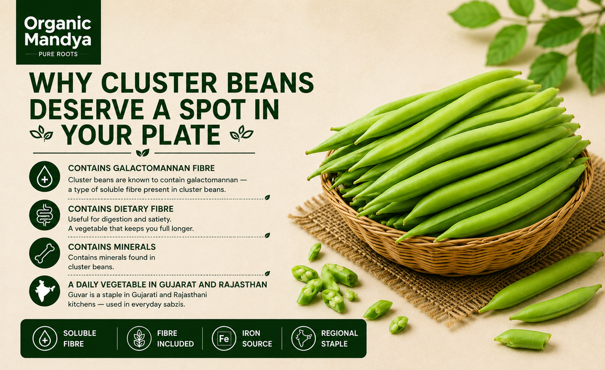 Cluster beans harvest