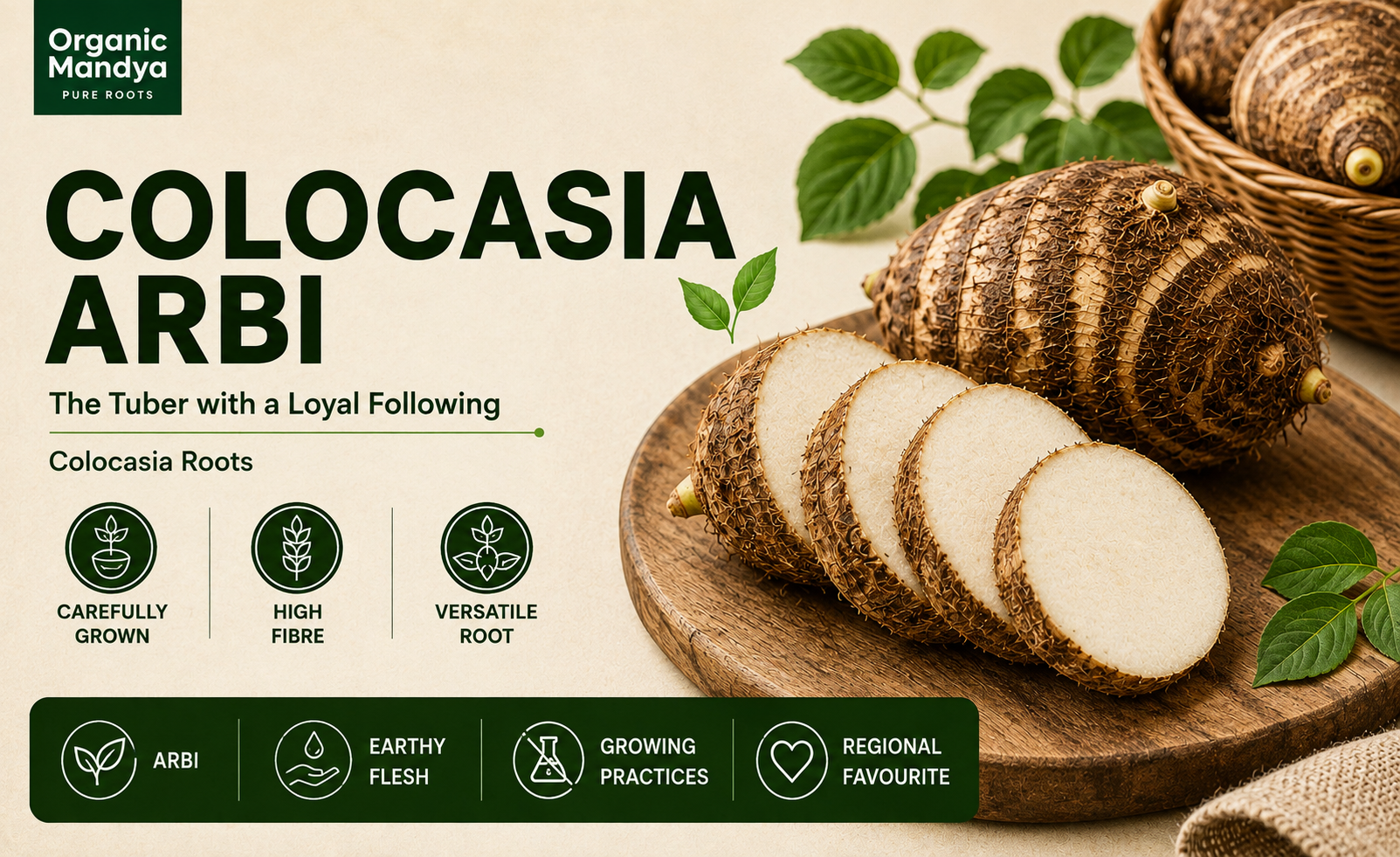 regional colocasia