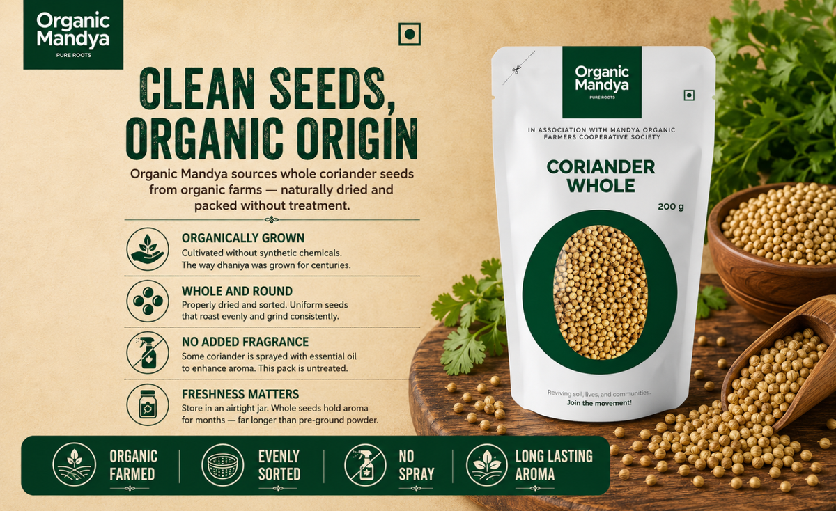 organic coriander seeds for planting Organic Coriander Whole Seeds – Fresh, Aromatic & Pure