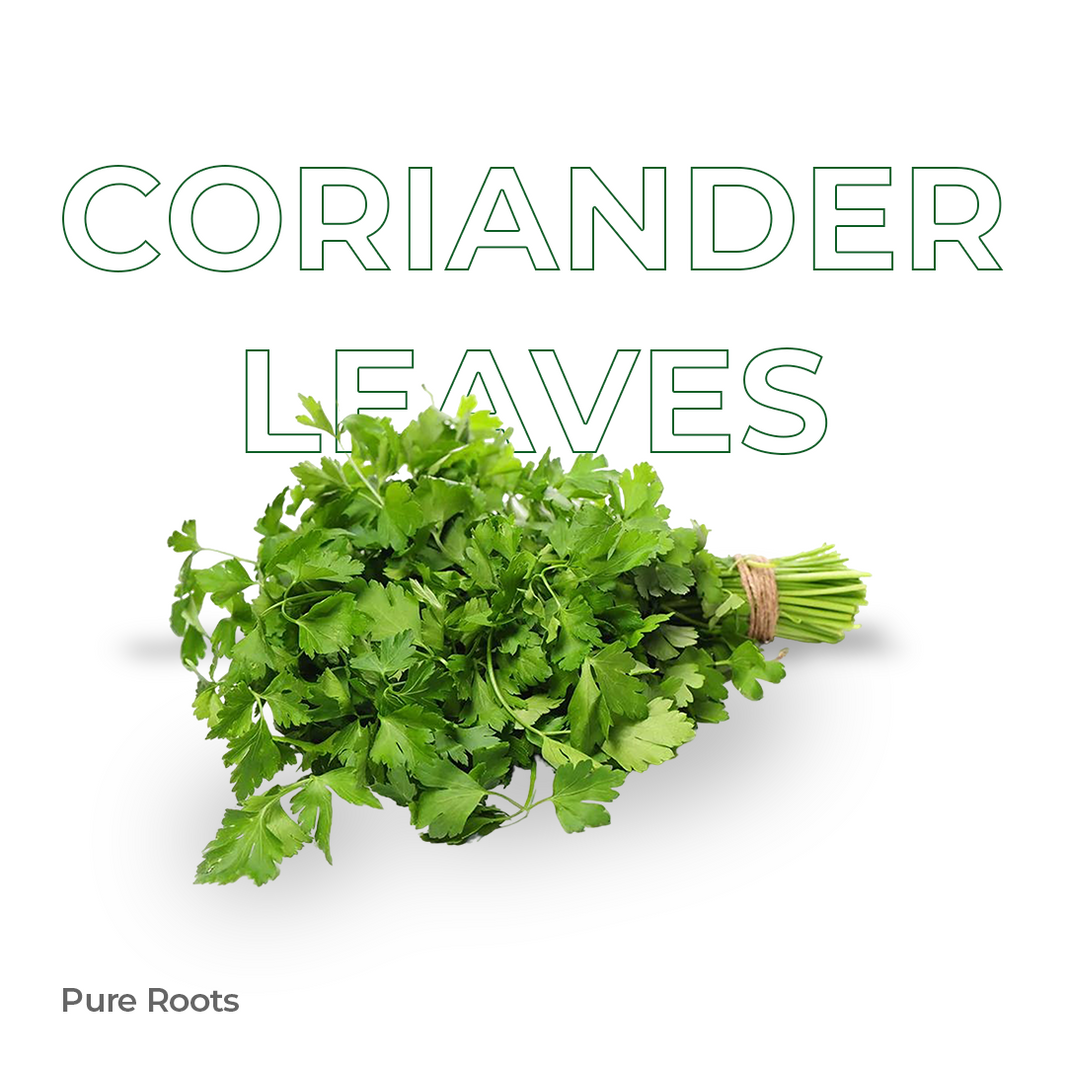 Organic Coriander Leaves