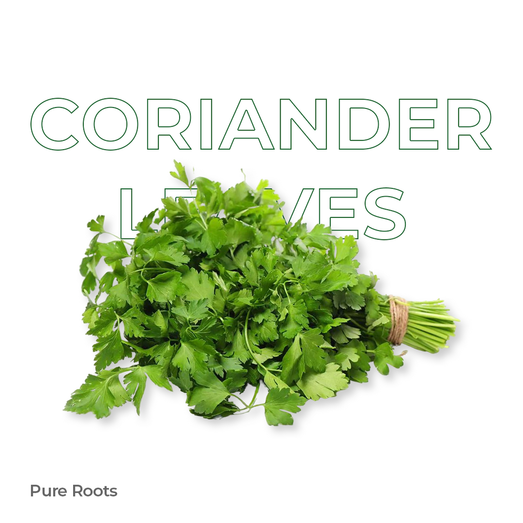 Organic Coriander Leaves