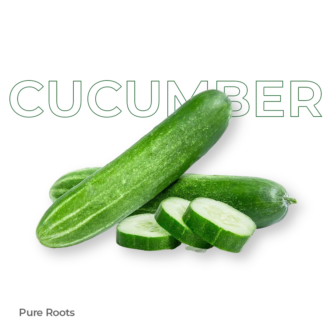 Organic Cucumber