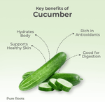 Organic Cucumber (Southekayi)