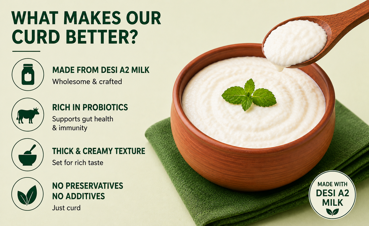 Infographic highlighting Desi A2 Set Curd benefits, including Desi A2 milk, probiotics, thick and creamy texture, and no preservatives or additives.