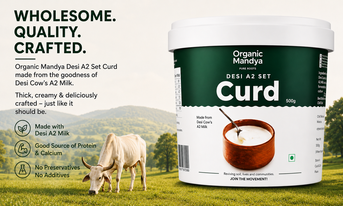 Hero banner of Desi A2 Set Curd in a 500g tub with a grazing desi cow, highlighting A2 milk, protein and calcium, and no preservatives or additives.