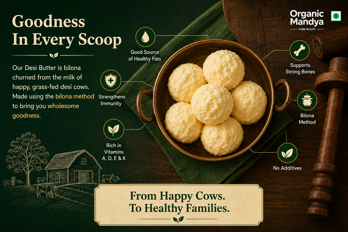 Infographic showcasing Desi Bilona Butter with healthy fats, vitamins, strong bones support, immunity benefits, bilona method, and no additives.