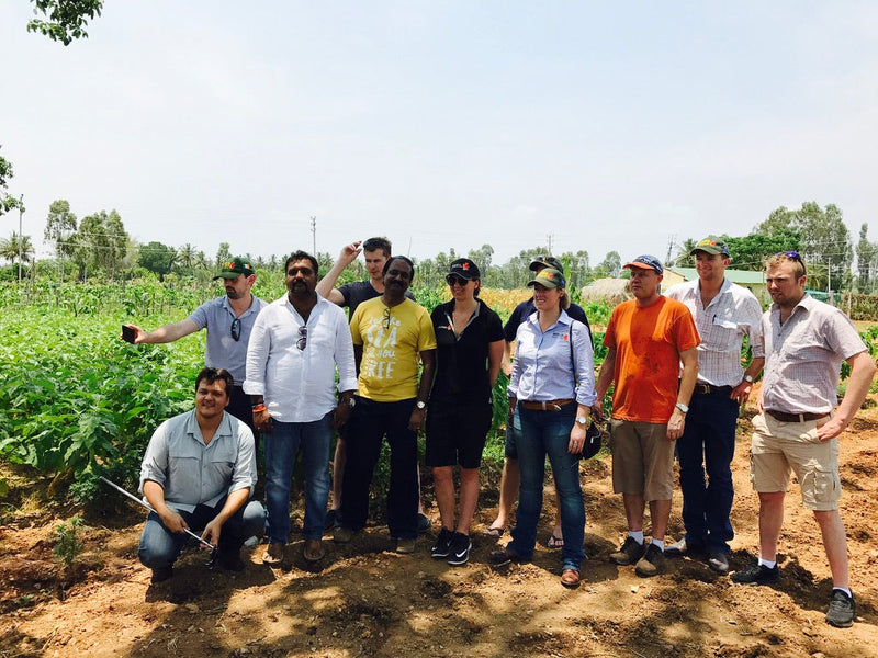 Inside Organic Mandya – Farm & Factory Visit