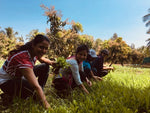 Inside Organic Mandya – Farm & Factory Visit