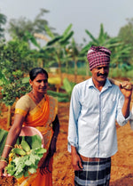 Inside Organic Mandya – Farm & Factory Visit