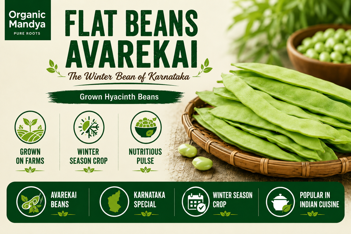 grown flatbeans