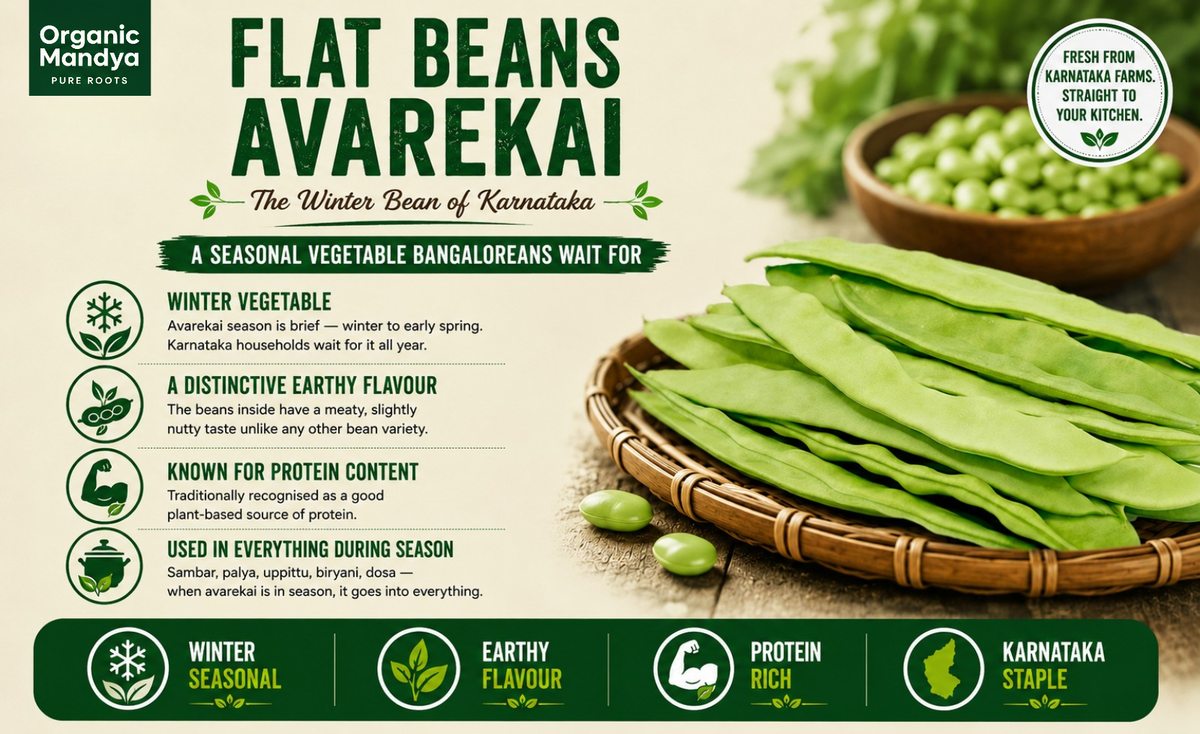 protein - rich - beans