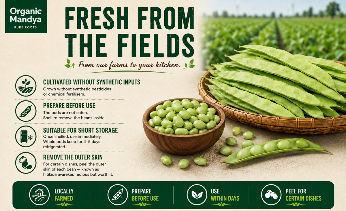 cultivated flatbeans