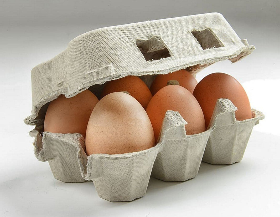 Organic Eggs - Brown