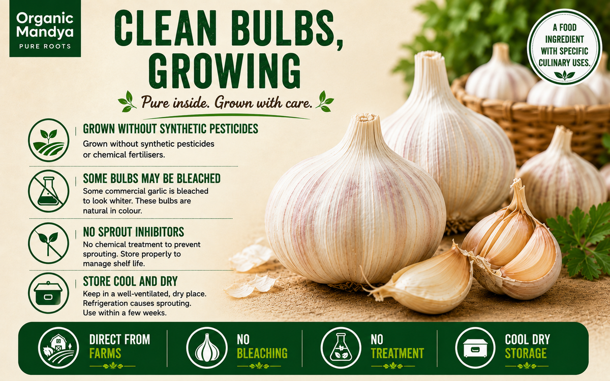 grown garlic