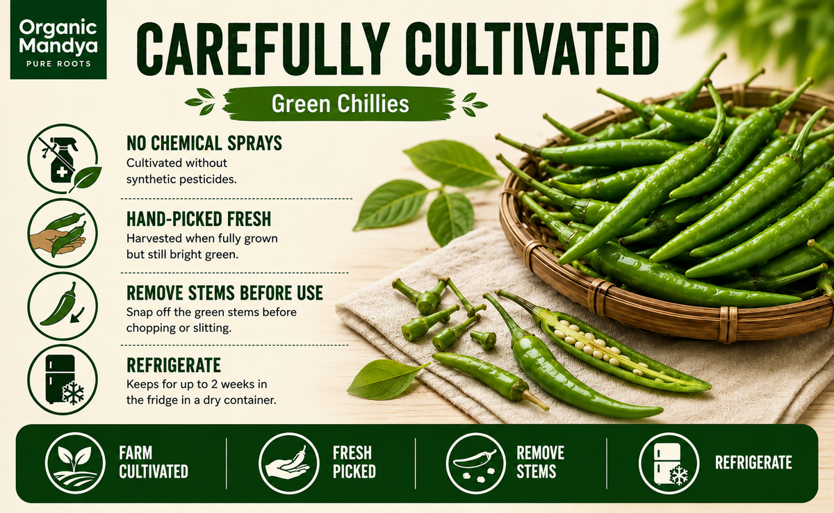 Farm fresh chillies