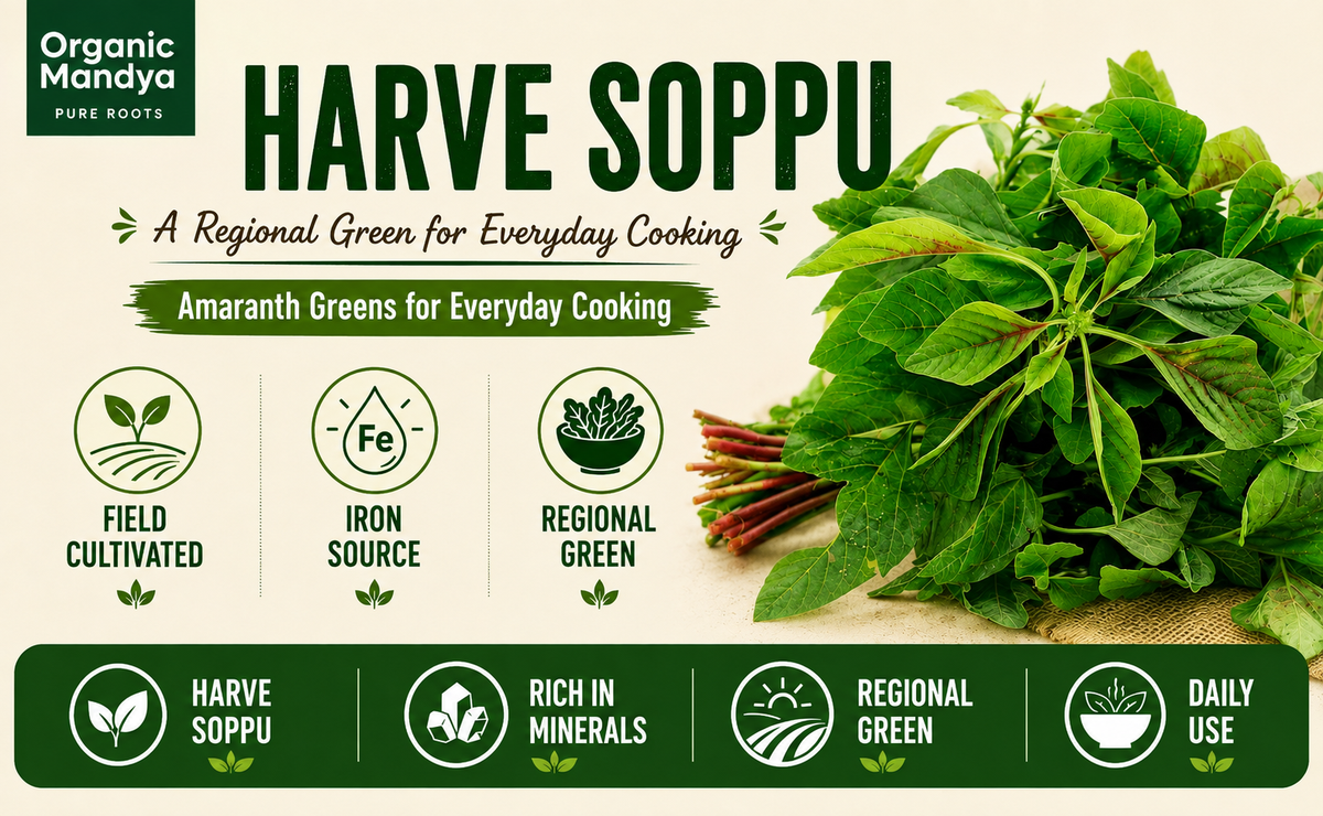 Fresh leafy greens in basket