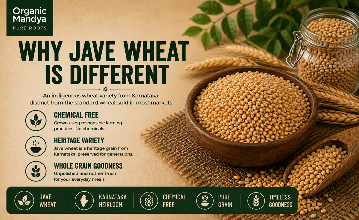 Karnataka Khapli wheat