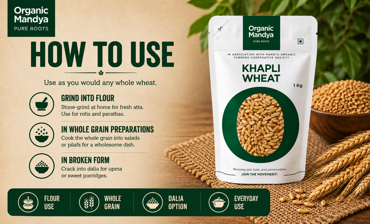 Khapli wheat with wheat stalks