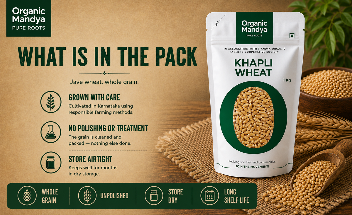 Unpolished Khapli wheat