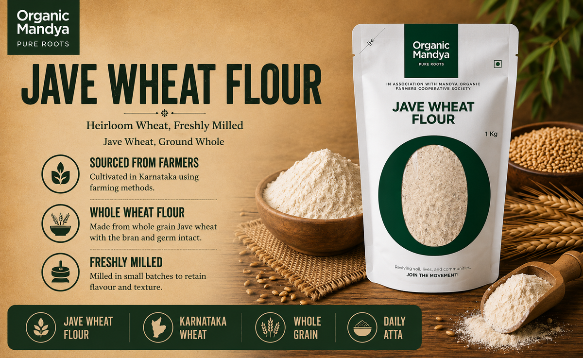 Jave wheat flour