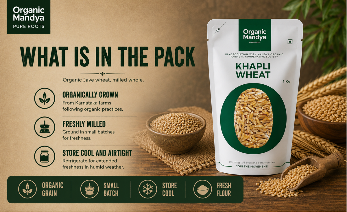 storage - jave - wheat - flour
