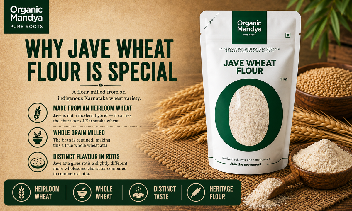 Organic Mandya Jave Wheat Flour made from heirloom Karnataka wheat with whole grain milling and distinctive taste.