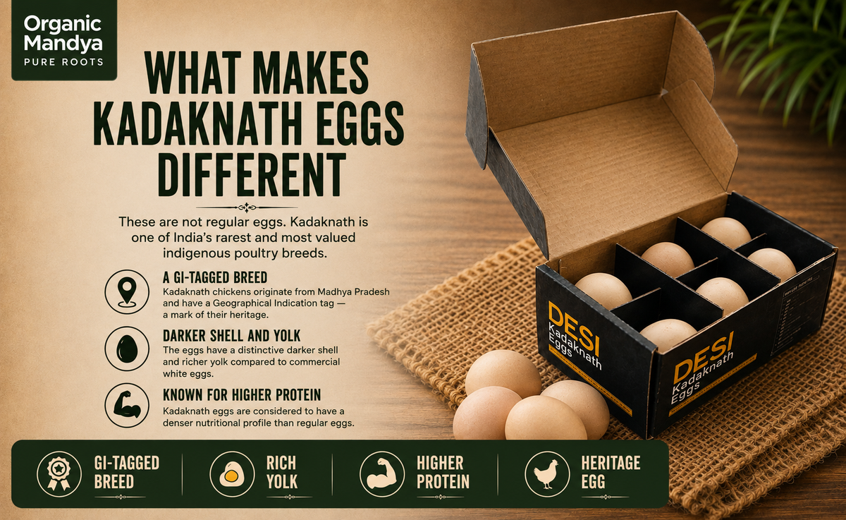 Infographic highlighting the key features of Organic Mandya Kadaknath Eggs, including GI-tagged breed, darker shell and yolk, higher protein, rich yolk, and heritage breed information.