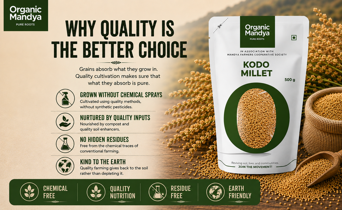 Kodo Millet Healthy Grain