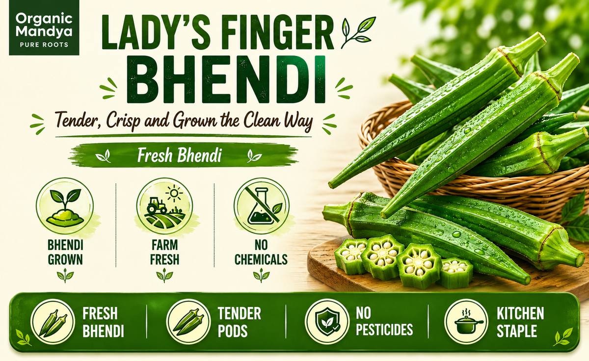 Farm fresh bhendi