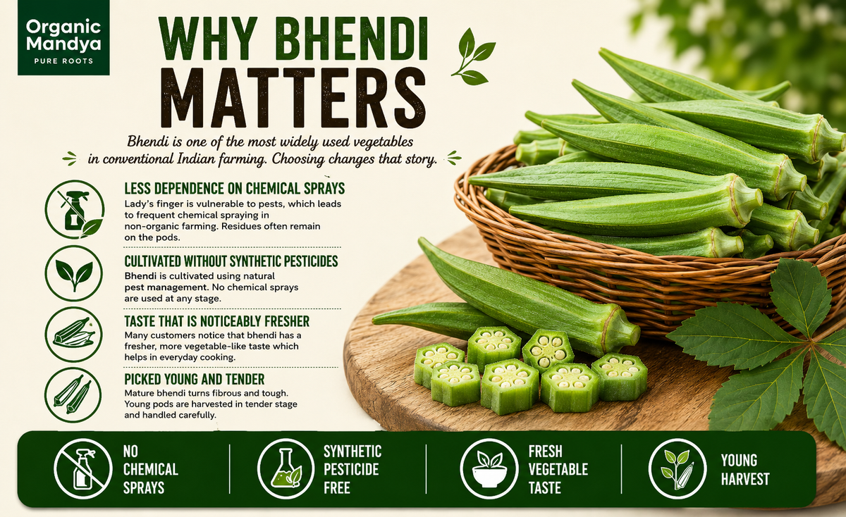 green bhendi vegetable