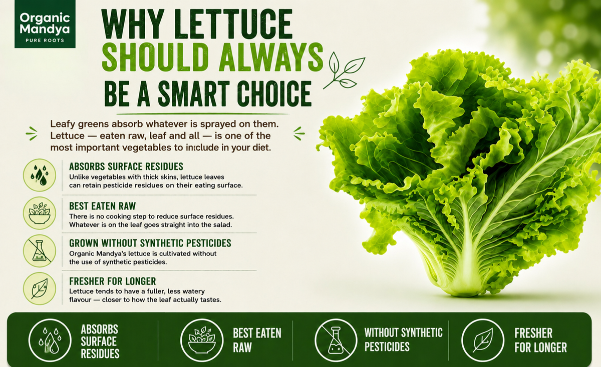 fresh lettuce