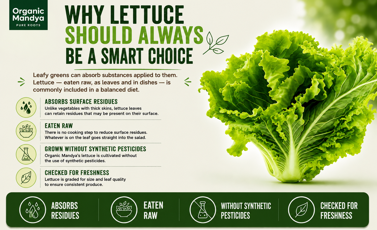 grown lettuce