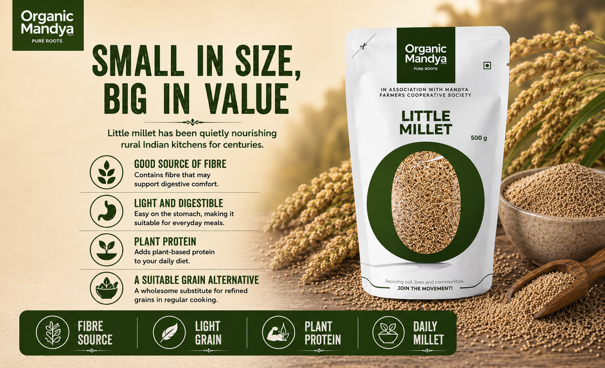 Quality Little Millet Grains