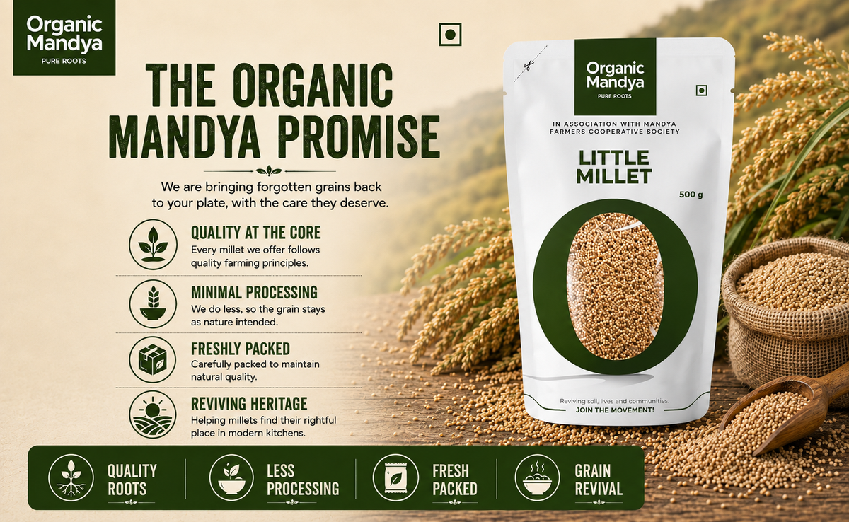 Everyday Little Millet Grain
