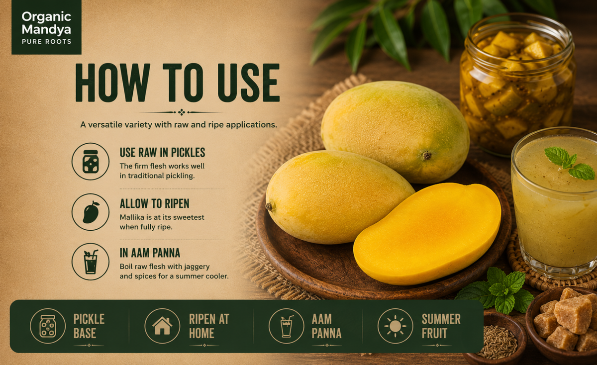 usage - mango - mallika - raw