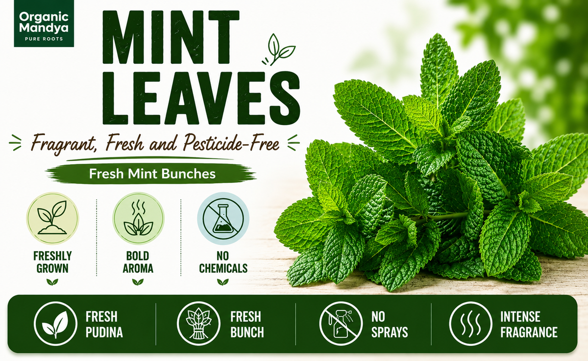green-mint-leaves