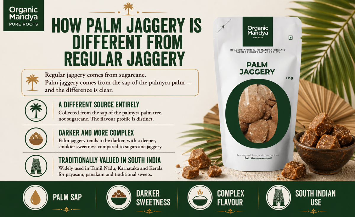 traditional - palm - jaggery