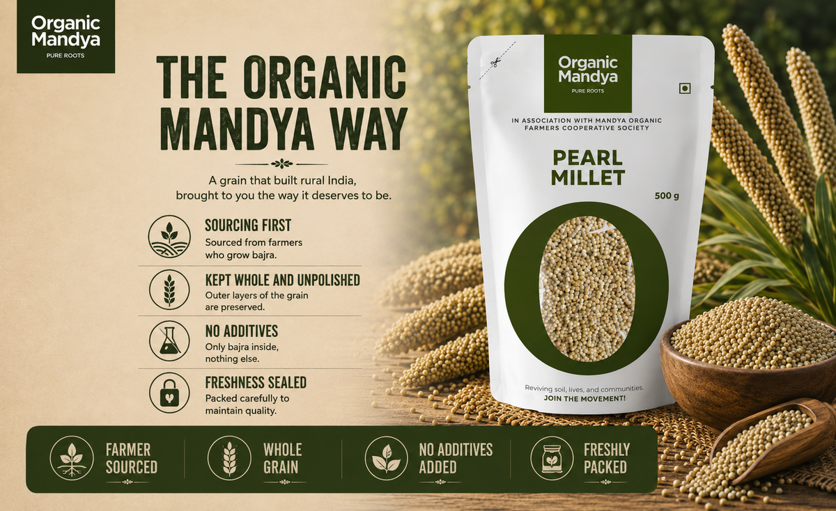 fresh pearl millet bajra