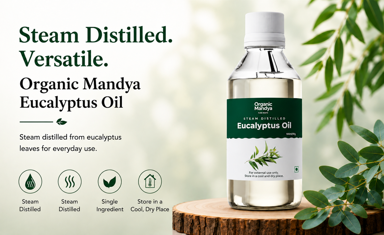 steam eucalptus oil