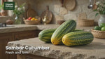 Fresh Sambar Cucumber