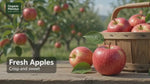 Fresh Apple (Seb) Crisp, Juicy