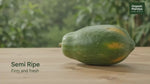 Papaya (Semi-Ripe)