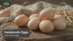 Kadaknath Eggs (Pack of 6) | High Protein Desi Black Eggs