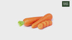Carrot Ooty (Ooty Carrot / Hill Carrot) | Organic Mandya