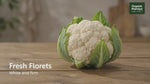 Cauliflower (Gobi / Huukosu)