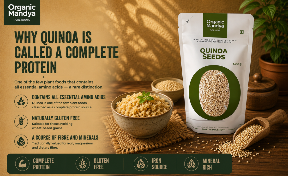 mineral - quinoa - seed
