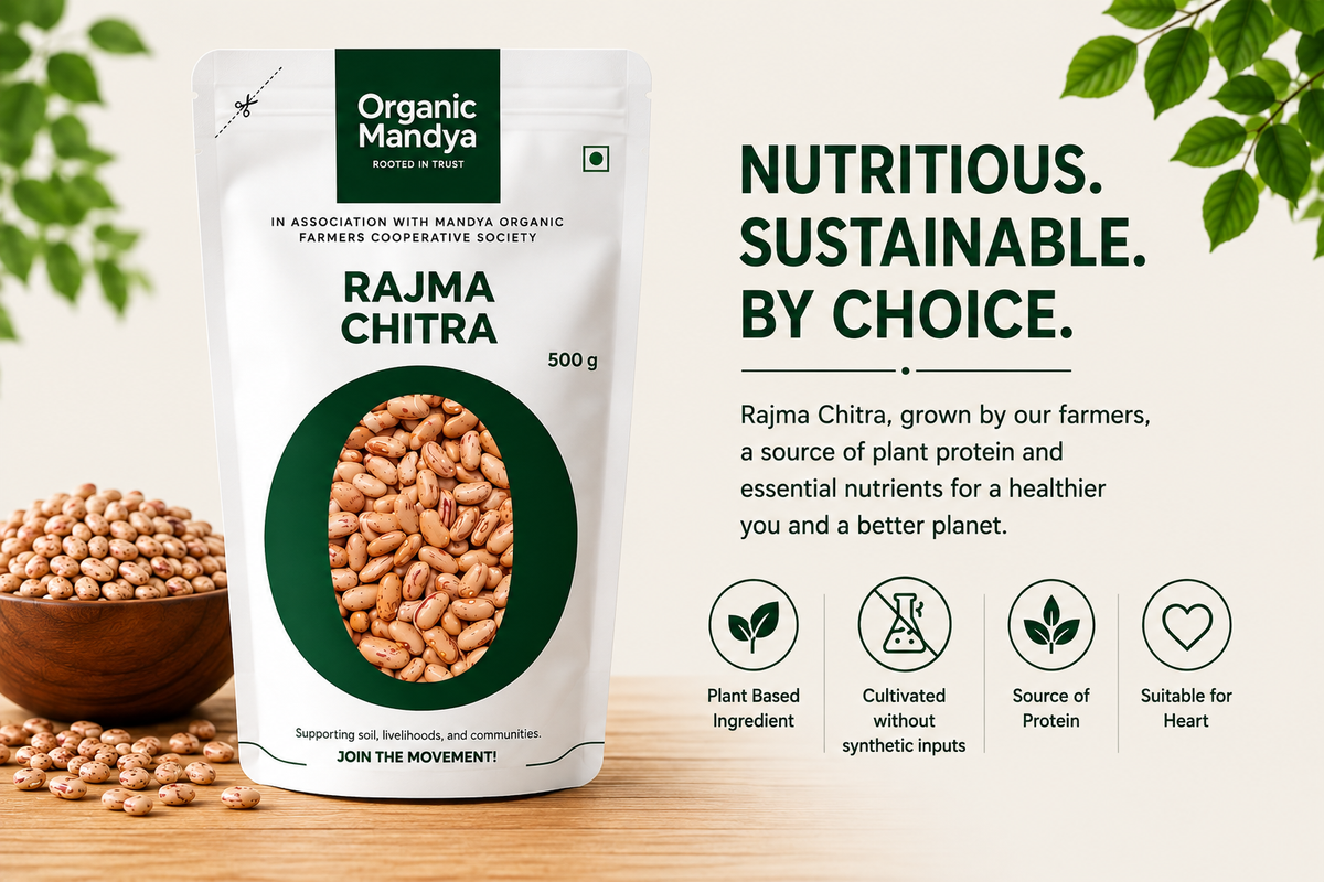 nutritious rajma chitra