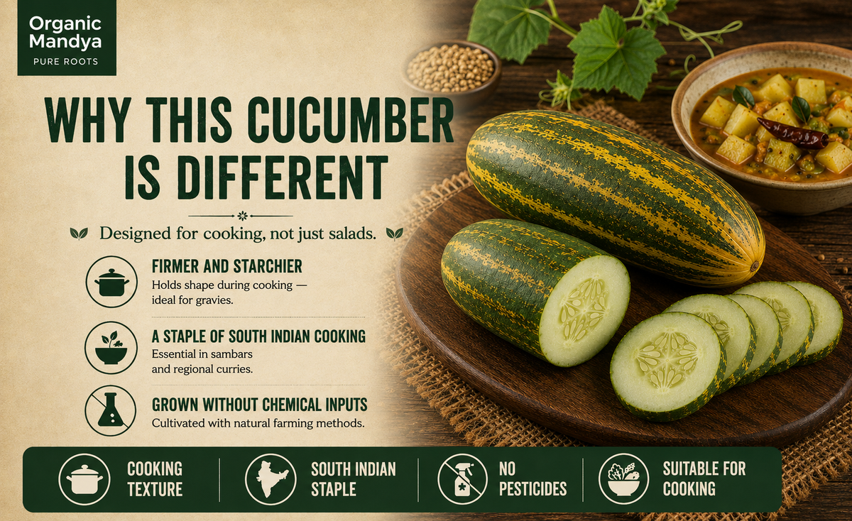 cooking sambar cucmber